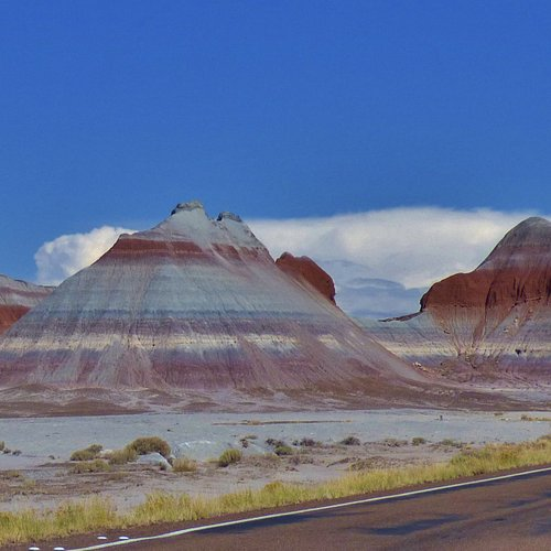 painted desert, things to do in petrified forest