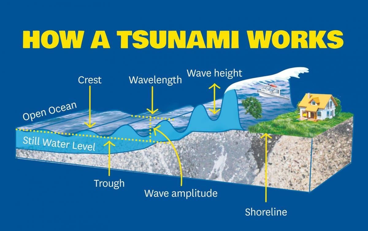 Tsunami