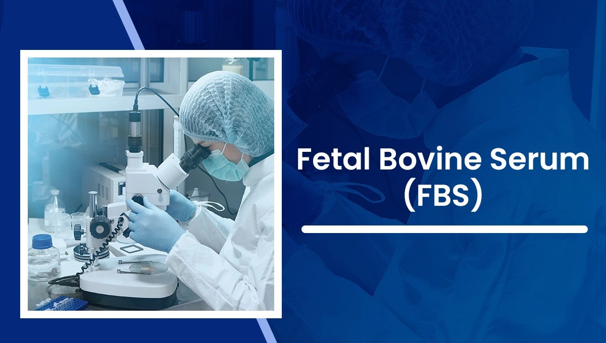 Fetal Bovine Serum (FBS)