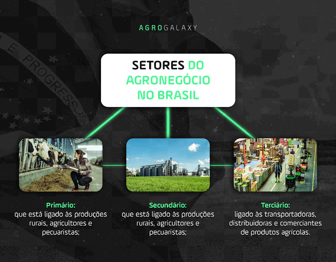 Quais são os setores do agronegócio no Brasil?