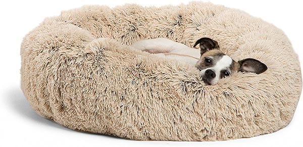 Photo of a dog laying in a fuzzy donut bed