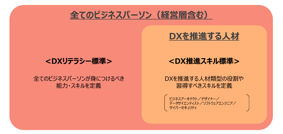 DXリテラシー標準とDXスキル標準の位置づけ