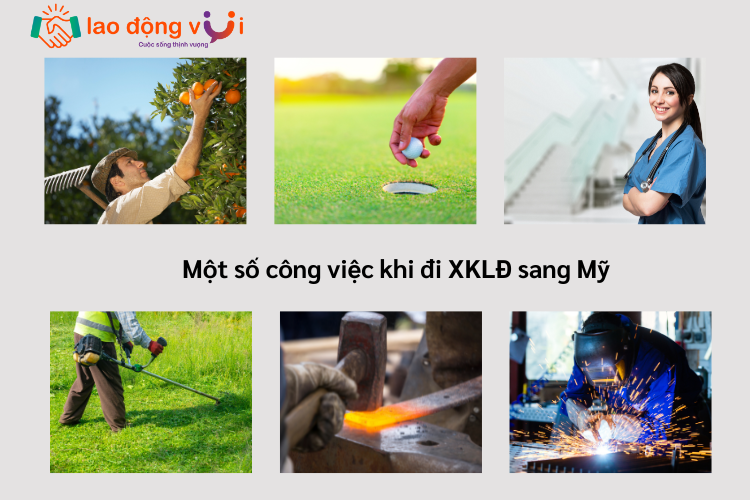 Một số công việc khi xuất khẩu lao động sang Mỹ