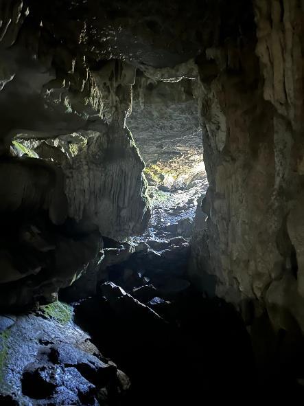 Una cueva en una roca

Descripción generada automáticamente con confianza media