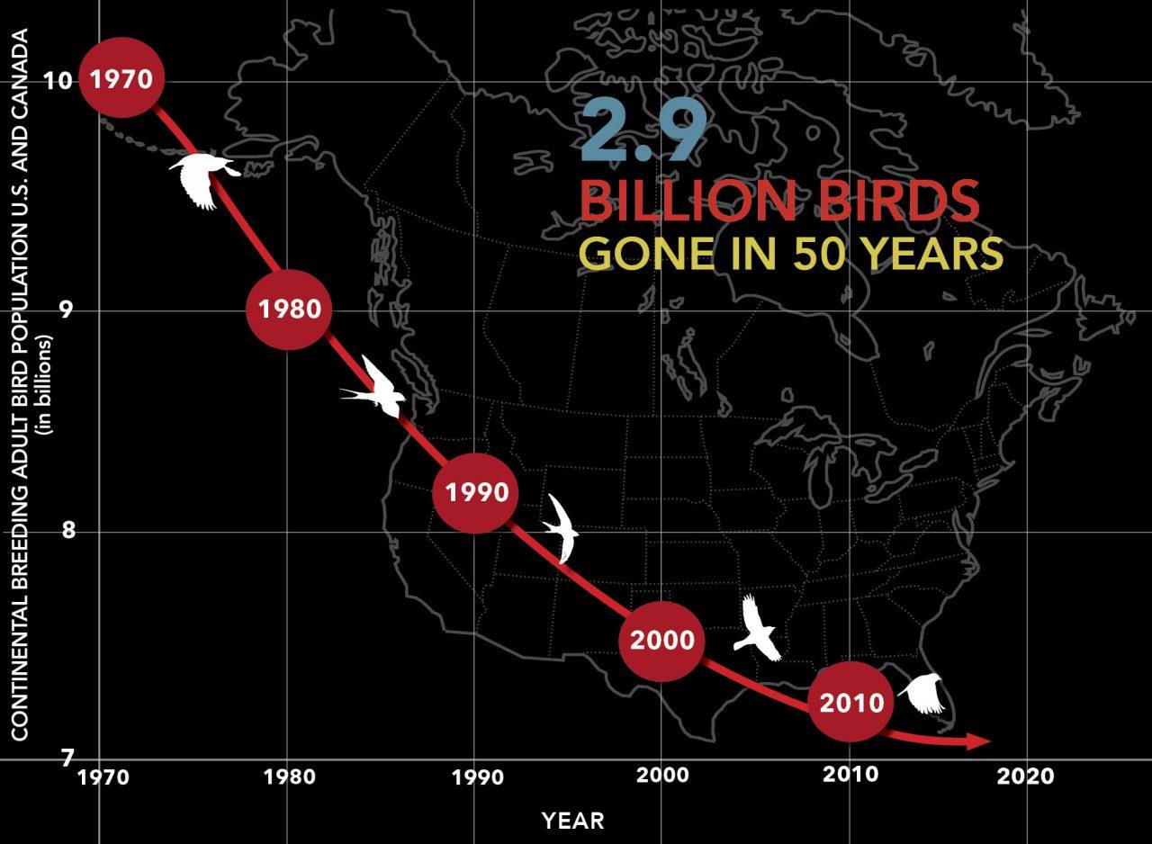 Friday Night Lecture: Birds of Prey, Calendar Meeting List