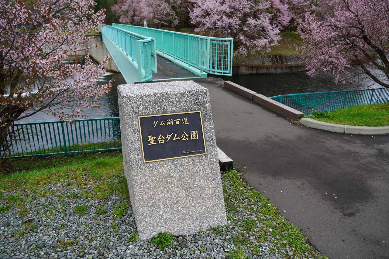 桜とカタクリが花開く「聖台ダム公園」