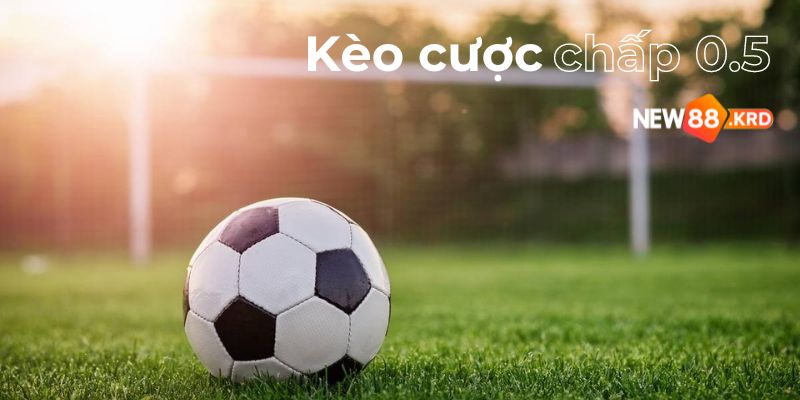 Kèo cược chấp 0.5 trái và lối chơi của kèo này 