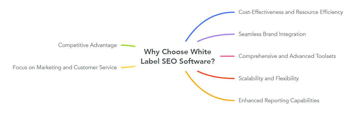 Why Choose White Label SEO Software?