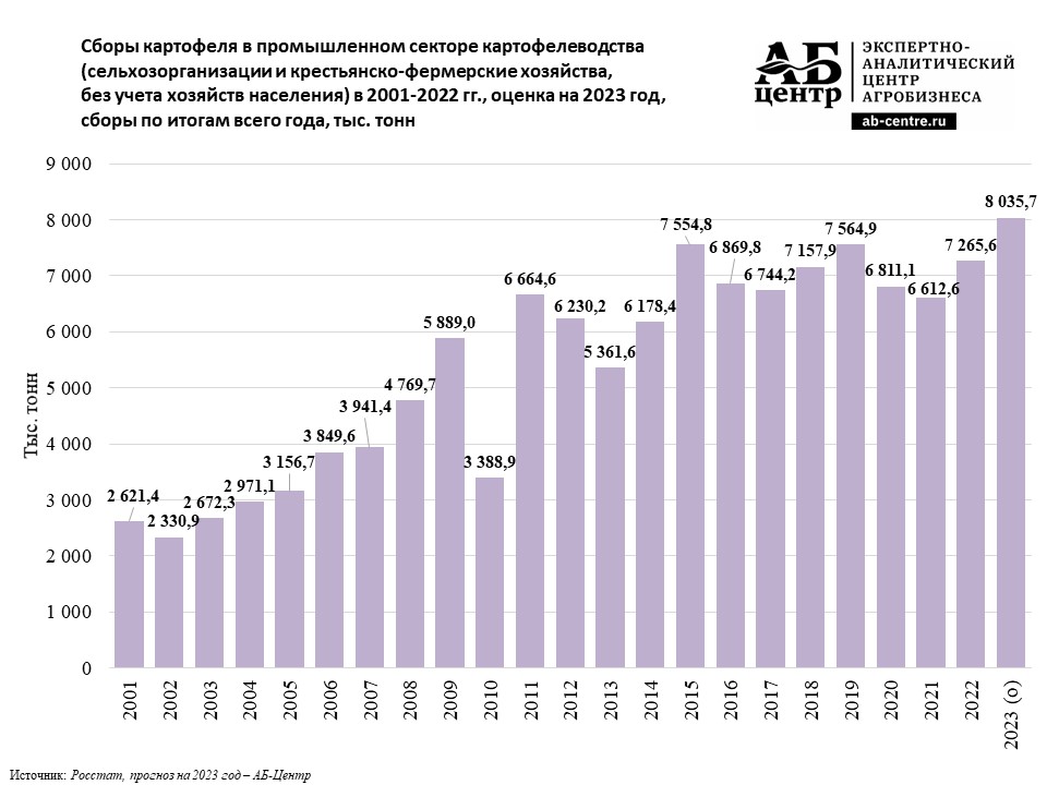 Производство картофеля в 2023 году может стать рекордным