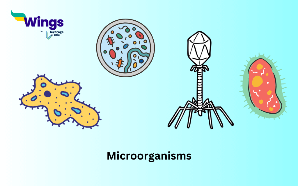 Class 8 Science Chapter 2: Microorganisms: Friend and Foe: Microorganisms
