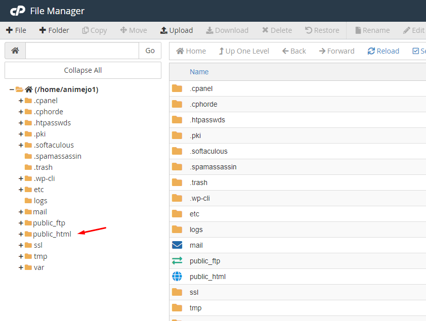 File manager public html