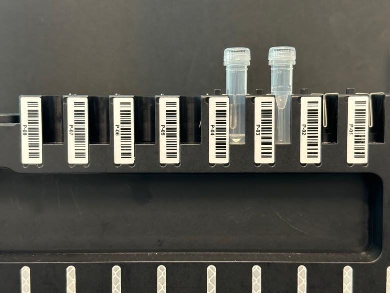 A row of test tubes with bar code

Description automatically generated
