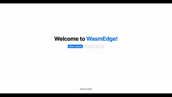 WebAssembly (Wasm)