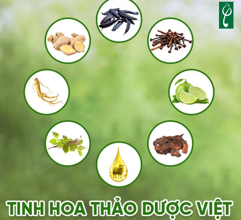 Dầu gội tóc nam chứa thành phần lành tính