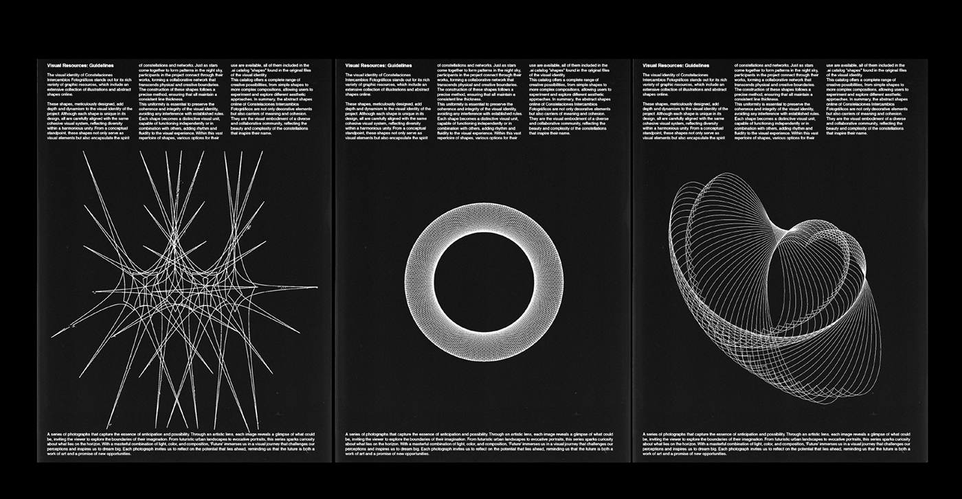 Posters on the Uses and Guidelines of the Logo and the Brand's Visual Resources