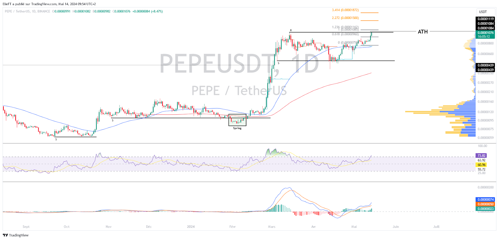 Graphique du PEPEUSDT (1D)