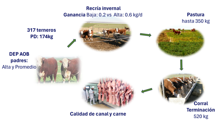 Sitio webDescripción generada automáticamente con confianza baja