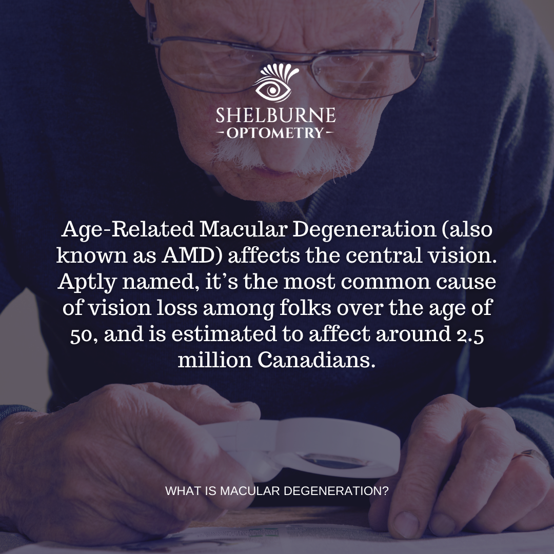 Age-Related Macular Degeneration (also known as AMD) affects the central vision. Aptly named, it's the most common cause of vision loss among folks over the age of 50, and is estimated to affect around 2.5 million Canadians.