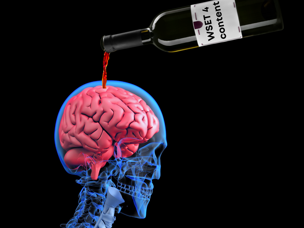 Pouring wine knowledge into your brain for the WSET Diploma D3 exam