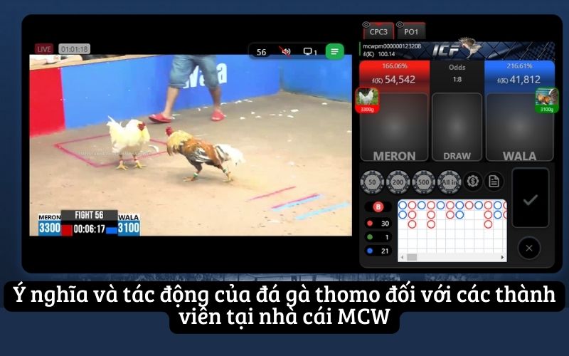 Ý nghĩa và tác động của đá gà thomo đối với các thành viên tại nhà cái MCW