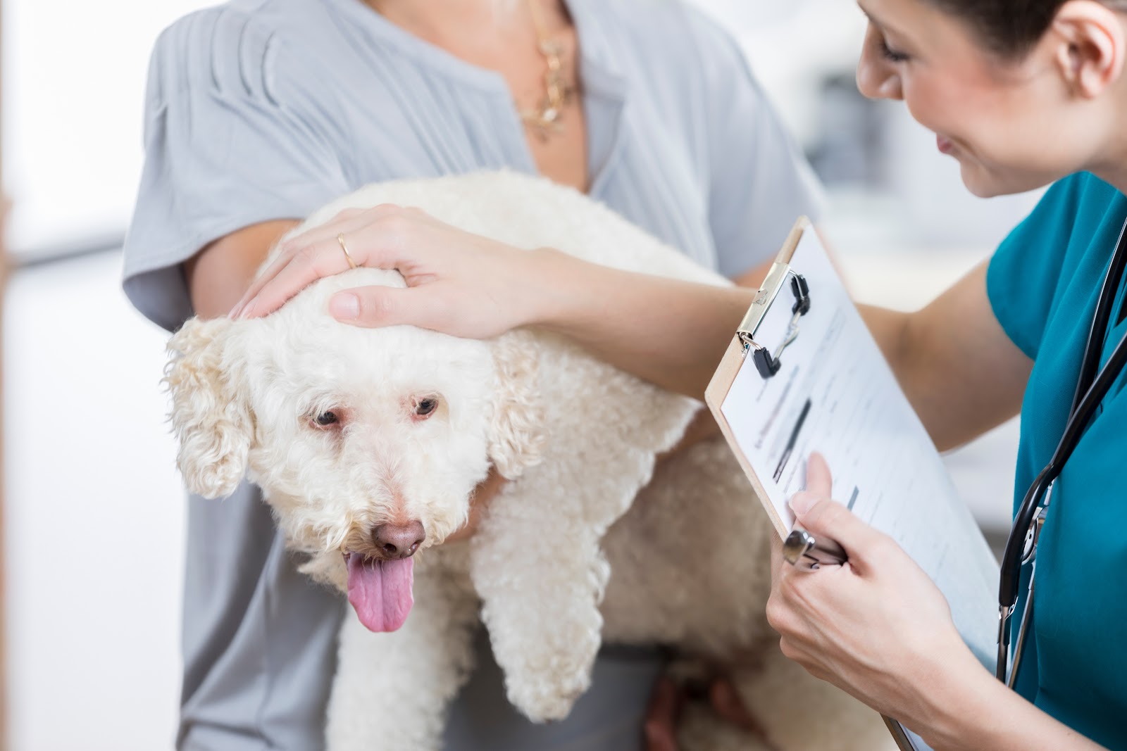 family pet health care needs checklist benefits