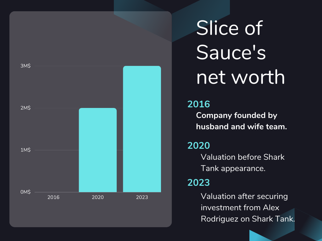 Slice of Sauce Net Worth Over the Years