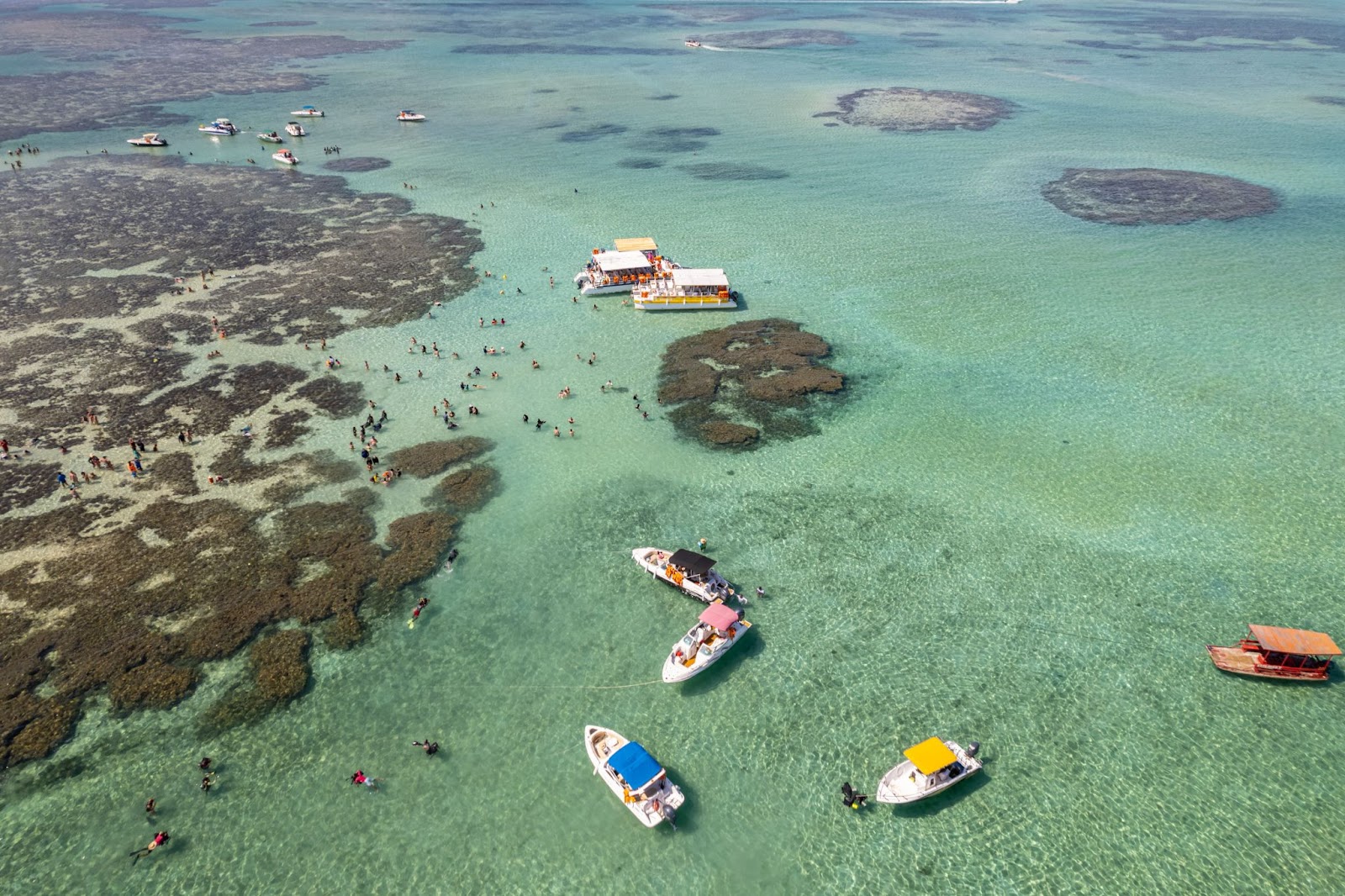 Vista aérea das Galés de Maragogi. Os banhistas caminham pelos bancos de areia e arrecifes de corais escuros, entre grandes áreas de água cristalina. Pequenas embarcações de passeio flutuam no mar.