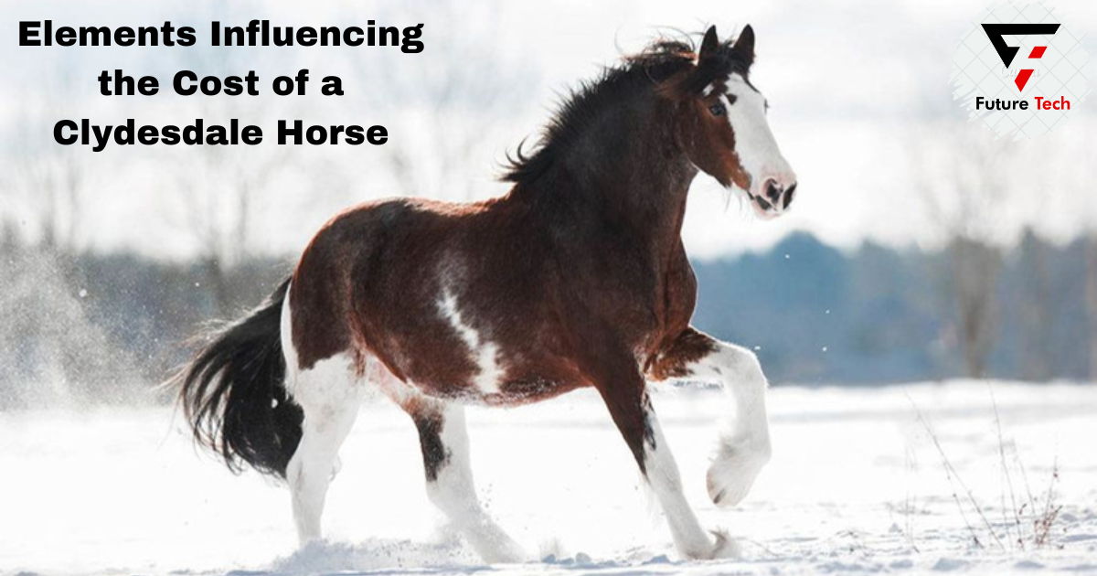 Elements Influencing the Cost of a Clydesdale Horse