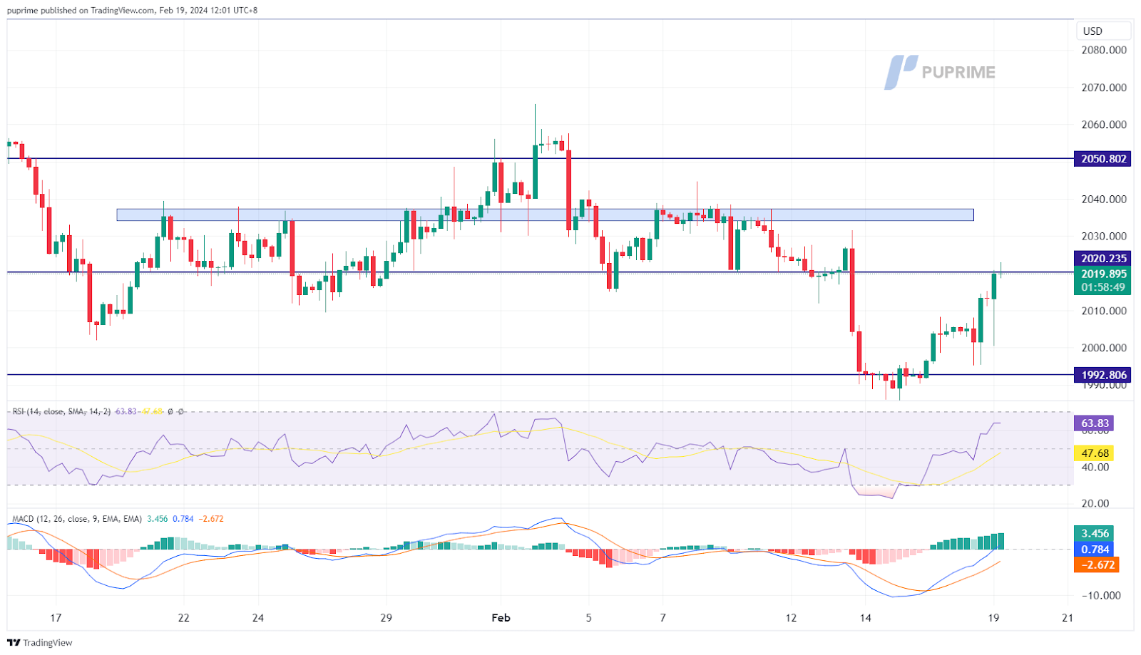 XAU/USD gold price chart 19 February 2024