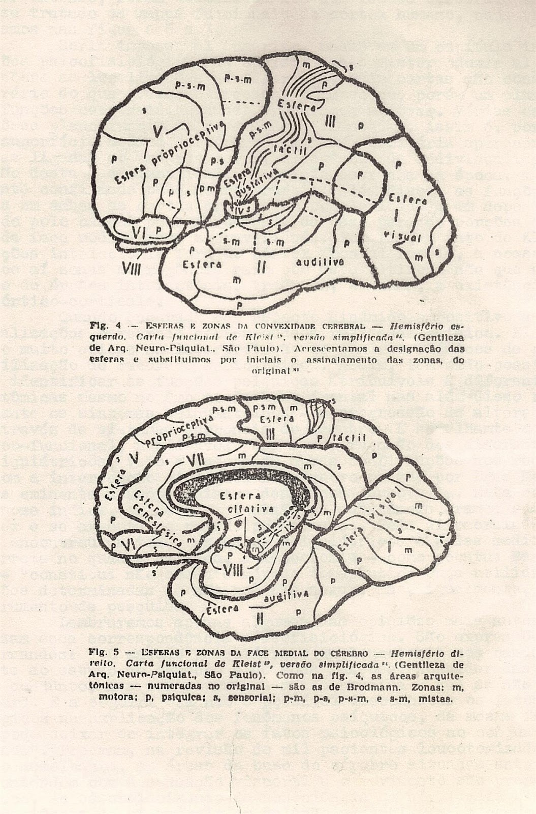 Esquema 4 - Psicologia Fisiológica.jpg