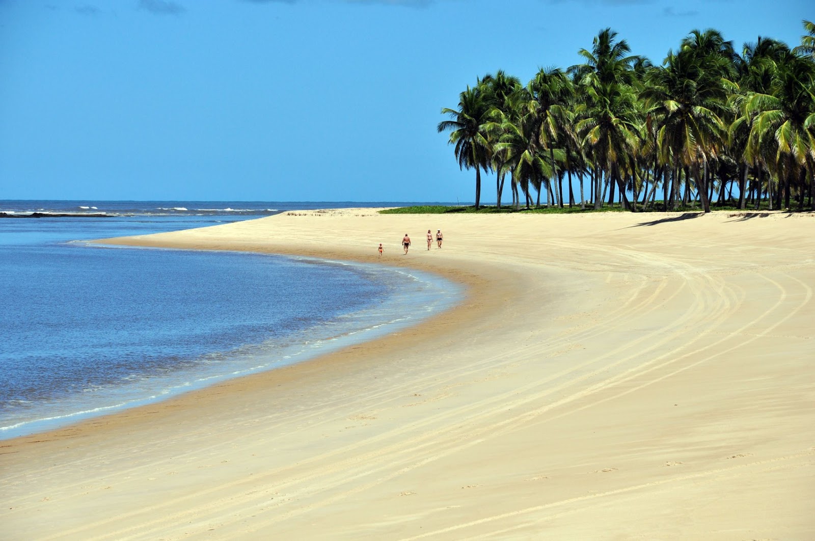 Família caminhando em uma faixa de areia dourada que se estende até o horizonte, na Praia do Gunga. A orla é limitada por um mar sem ondas e por uma mata de coqueiros.