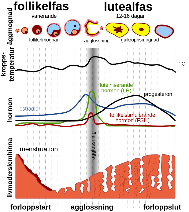 Chart, text

Description automatically generated