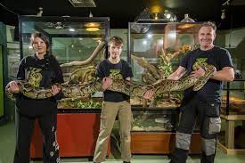Canberra Reptile Zoo welcomes five-metre, 50kg python | The Canberra Times  | Canberra, ACT