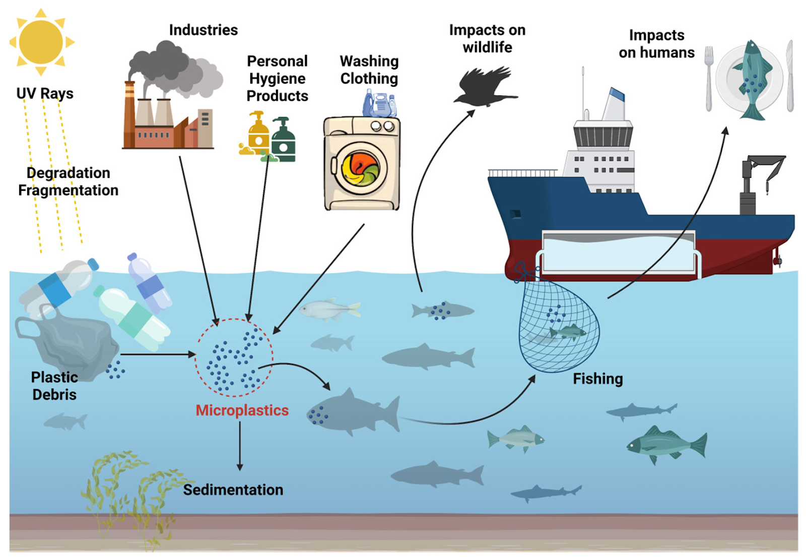 Nutrients | Free Full-Text | Microplastics: A Real Global Threat for  Environment and Food Safety: A State of the Art Review