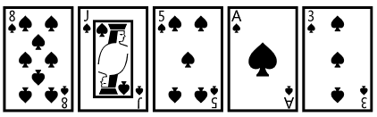 flush card