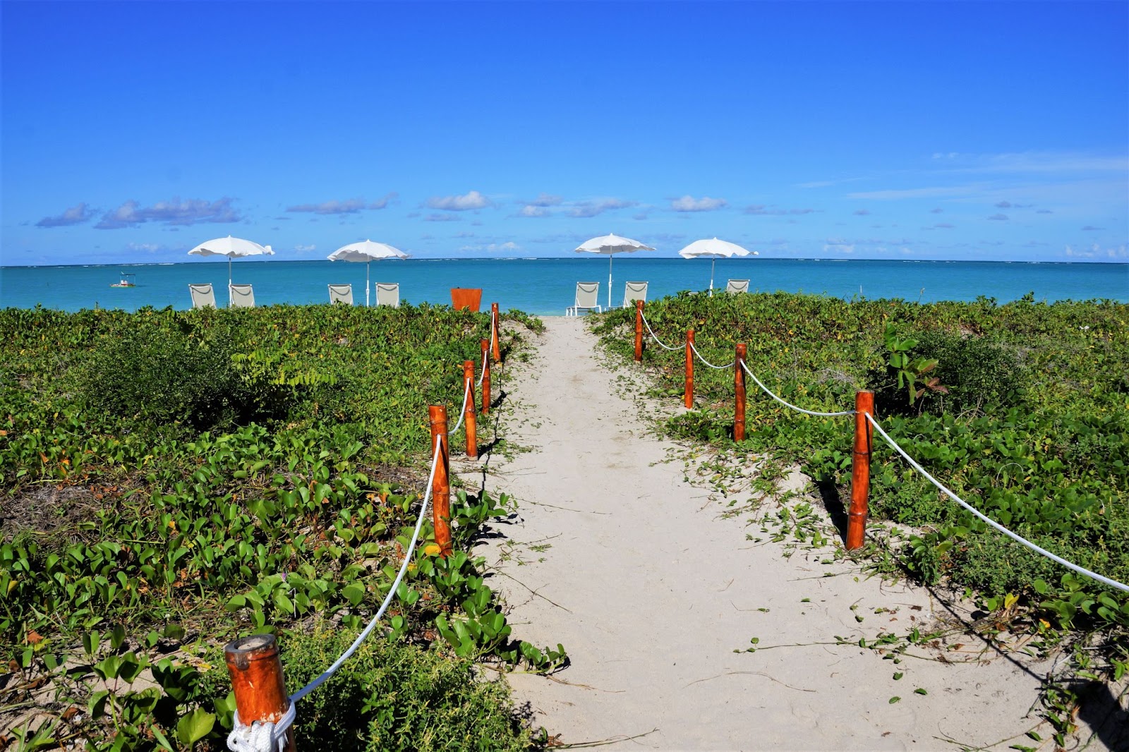 Estreito caminho de areia até uma das praias de Maragogi. Ele aparece entre áreas de vegetação rasteira e verde. Ao fundo, aparecem o mar e o céu azul, sem nuvens
