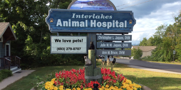Interlakes Animal Hospital