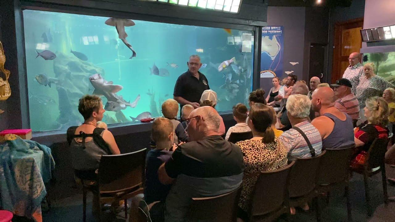 lecture about marine life