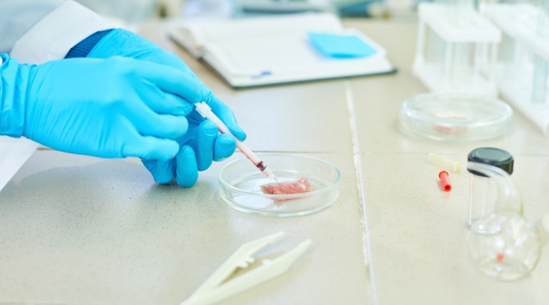 hands injecting a substance into lab-grown meat