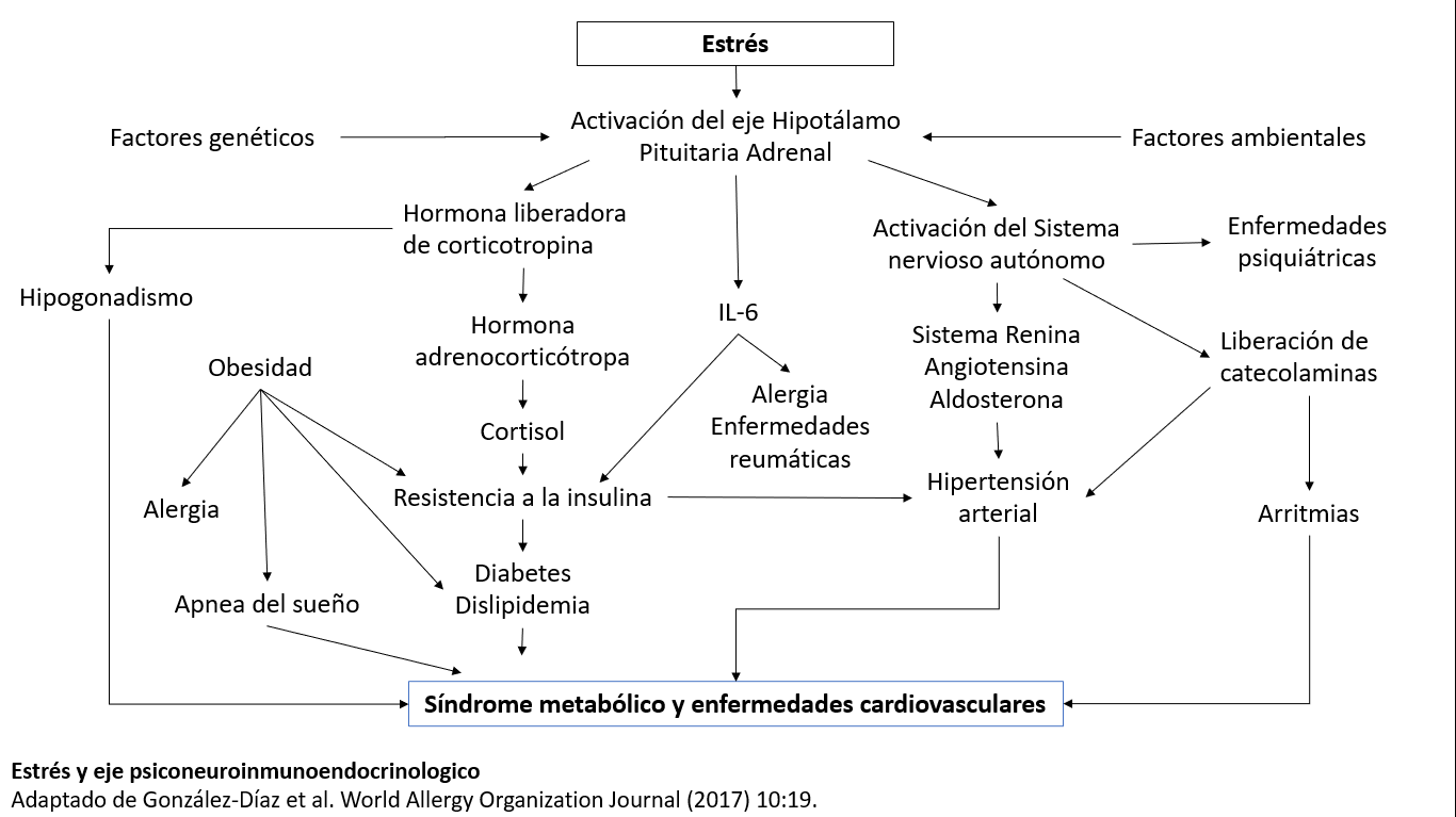 Diagrama

Descripción generada automáticamente