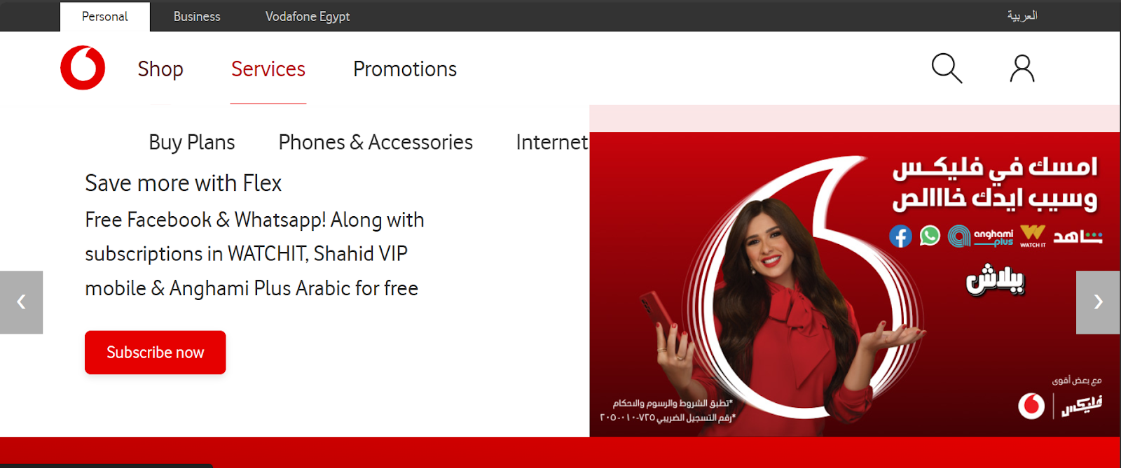 Vodafone Egypt website snapshot highlighting the services it offers.
