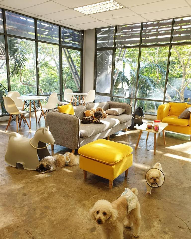 Pet Hotel in KL and Selangor