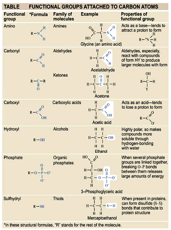 ТАВИЕ FUNCTIONAL ТО CARBON АТОМ$ <br />Functianal •FormuIa Fam"yof Ехатр'е <br />T01ecuIes <br />40 <br />от,мс <br />functionaI <br />АСЕ а tme—tends Ю <br />, анта а Югт <br />НО <br />40 <br />•hydes <br />геас1 сстрсш <br />кмт НУ pa%vce <br />vh•th <br />ес —н <br />40 <br />НЕНУ таке; <br />conxnmds тоге <br />solvtde tMMh <br />large апптв си егюгду <br />When h <br />cmtribUtB <br />structue <br />trmu%s, stm« —t the 