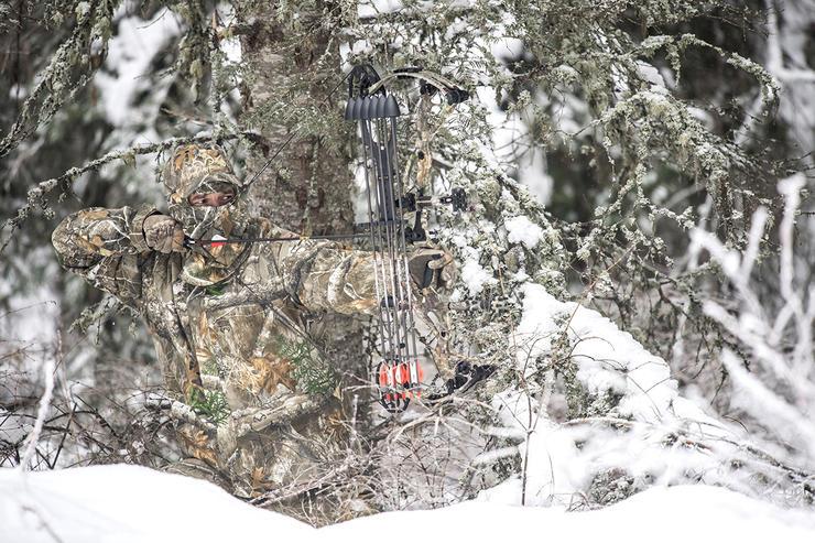 The trees are barren in the late season. Setting up natural blinds and hunting from the ground can be the best approach. (John Hafner Image)