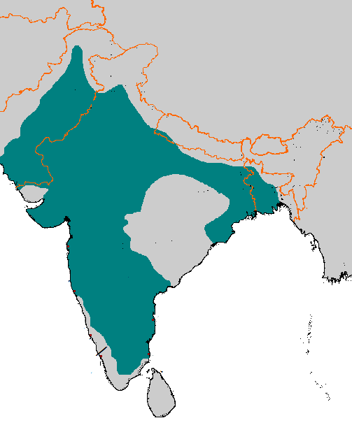 An image of the map of India during the Tughlaq Dynasty. 
