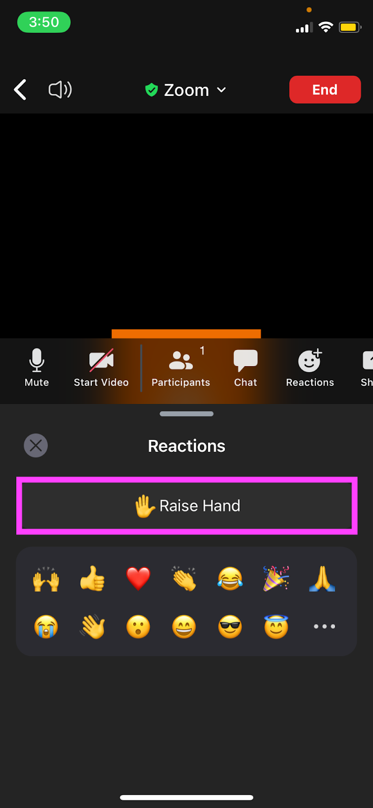 How to raise your hand in Zoom on mobile - Tap on Raise Hand