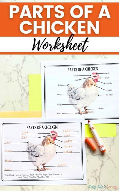 free chicken homeschool curriculum