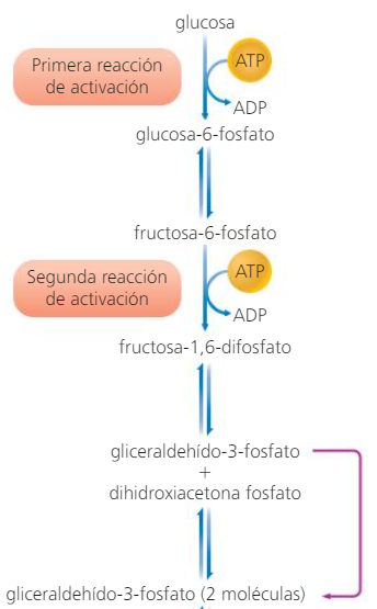 Imagen que contiene Diagrama

Descripción generada automáticamente