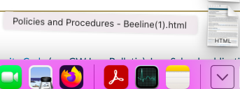 The bottom tool bar of a Macbook that shows the downloads area with Policies and Procedures - Beeline downloaded to the computer.