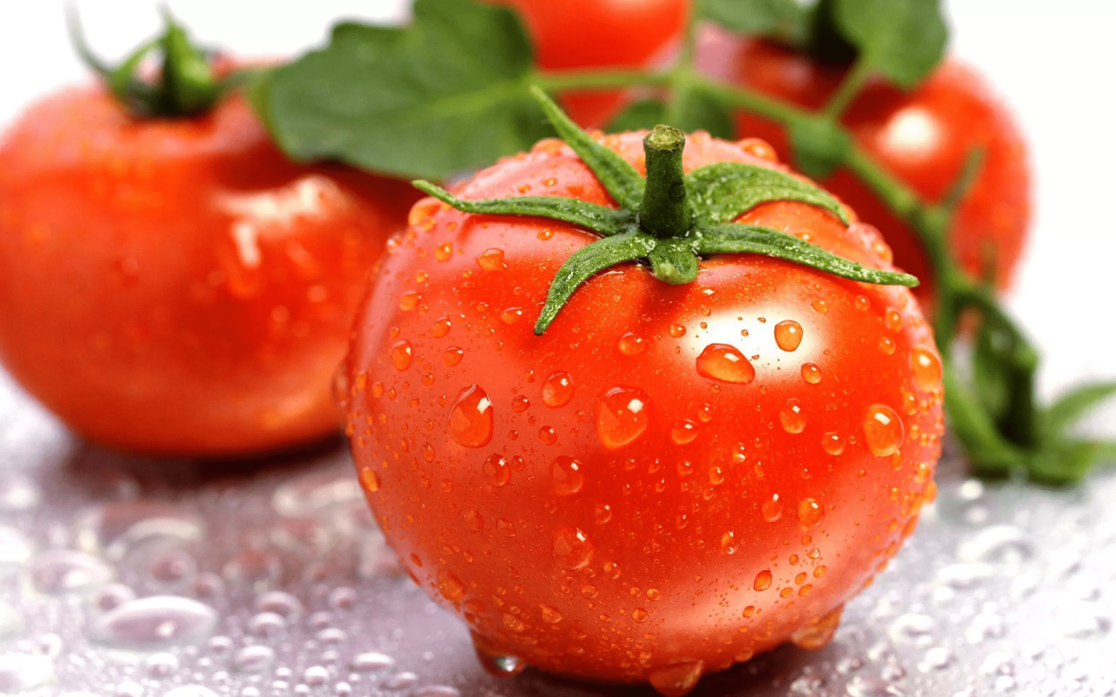 image of tomato fresh